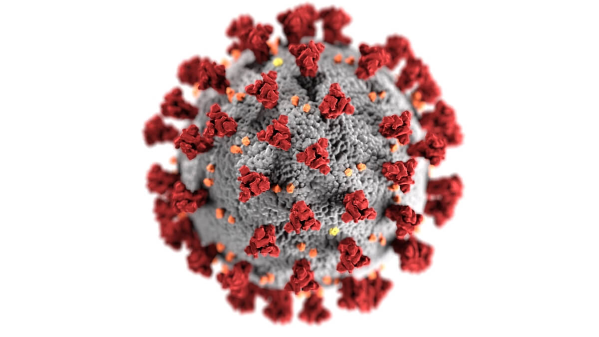 Virus infektion sjukdom dna biologi