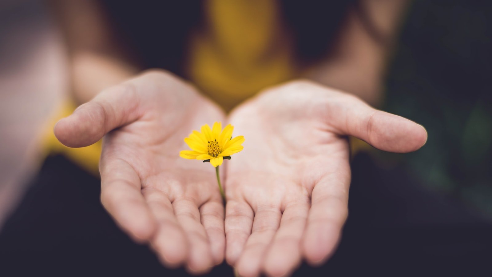Ny forskning visar hur mindfulness kan minska stress och öka välbefinnandet