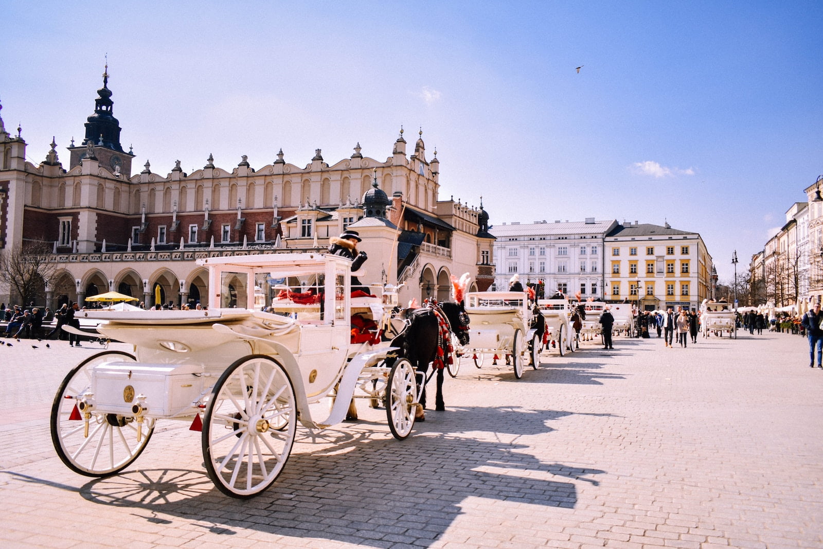 black horses krakow fantasi stad resa dag