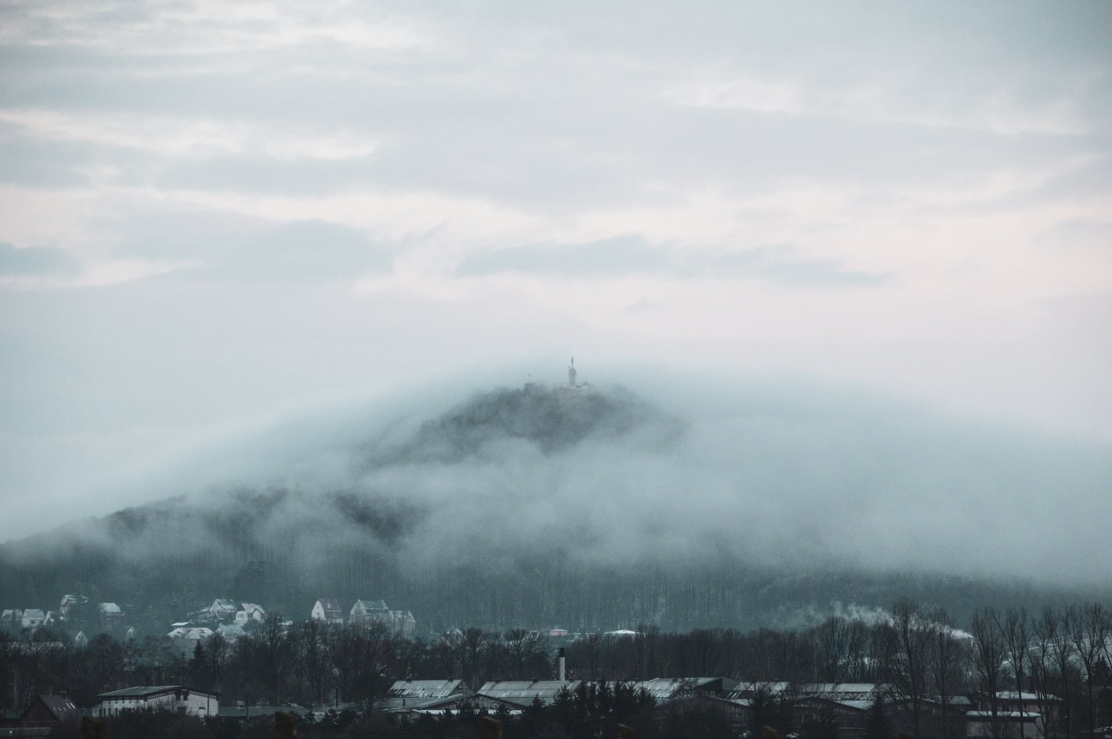 green trees covered with fog natur berg moln
